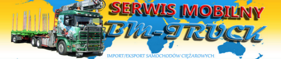bm-truck.eu